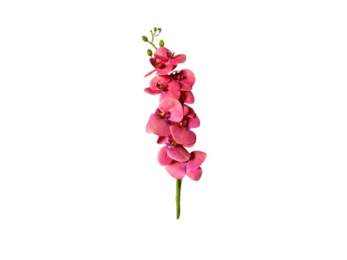 Orchid Branch (Pink)