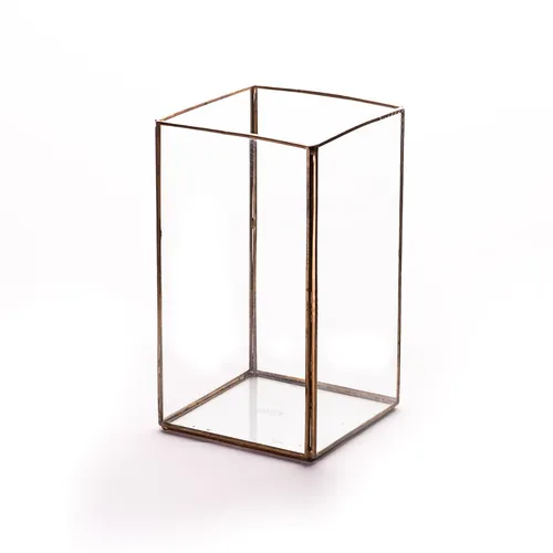 Gold Frame Perspex (M)