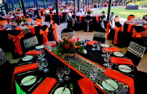 Dark Cotton Orange Napkin