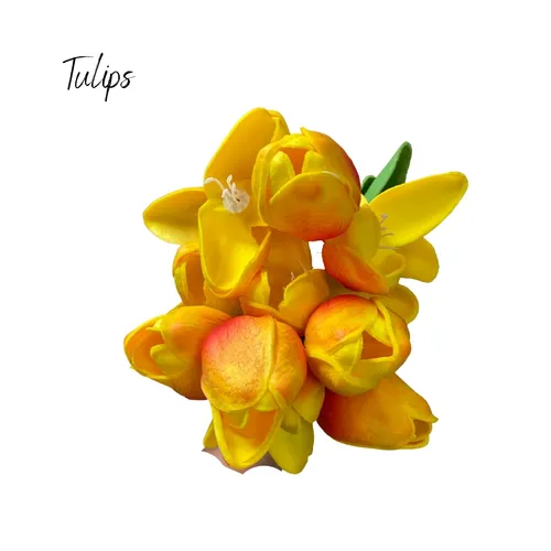 Tulips (Red & Yellow)