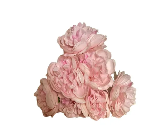  Bengal Rose (Baby Pink)