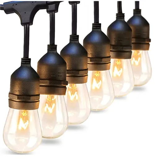 Festoon Lights (25m)