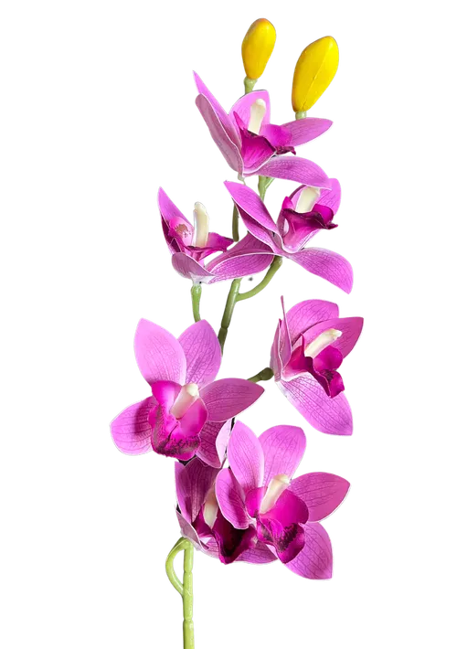 Orchid Branch (Purple)