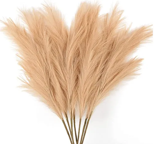 Pampas Grass (Coffee) 