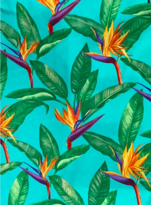 Tropical Pastel Overlay (Green, Aqua & Orange)