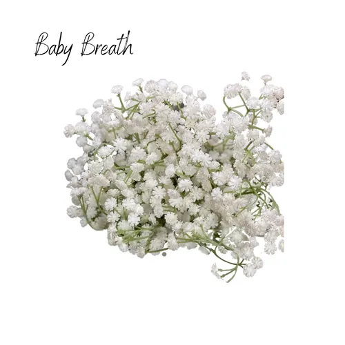 Baby Breath
