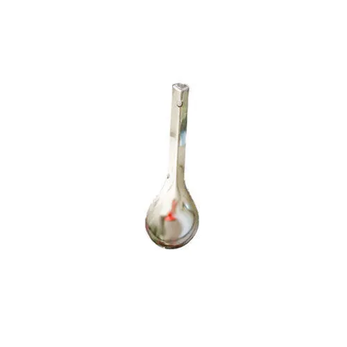 Serving Spoon ( Silver Handle )