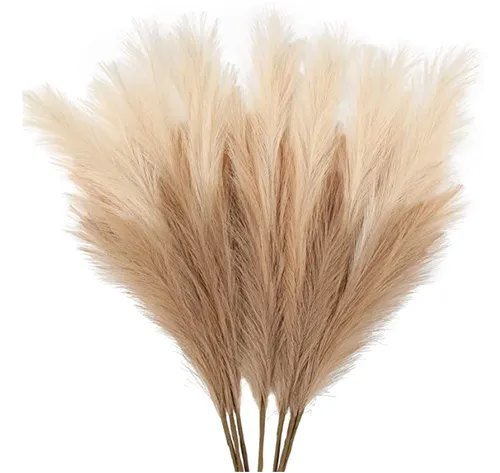 Pampas Grass (Beige Mixed)