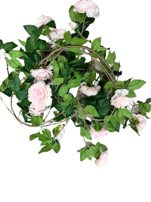 Green Creepers with Pink Roses