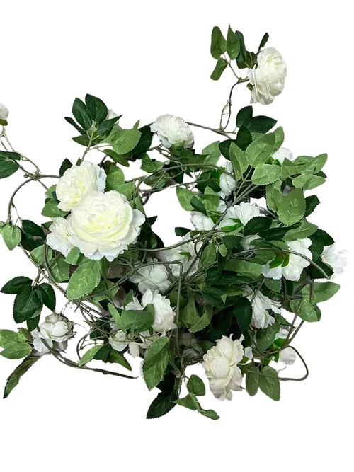 Green Creepers with White Roses