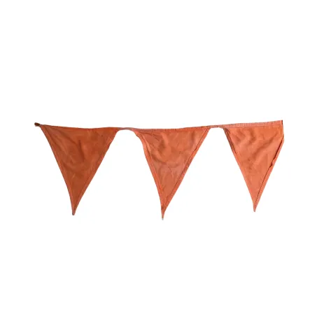 Orange Bunting(10m)