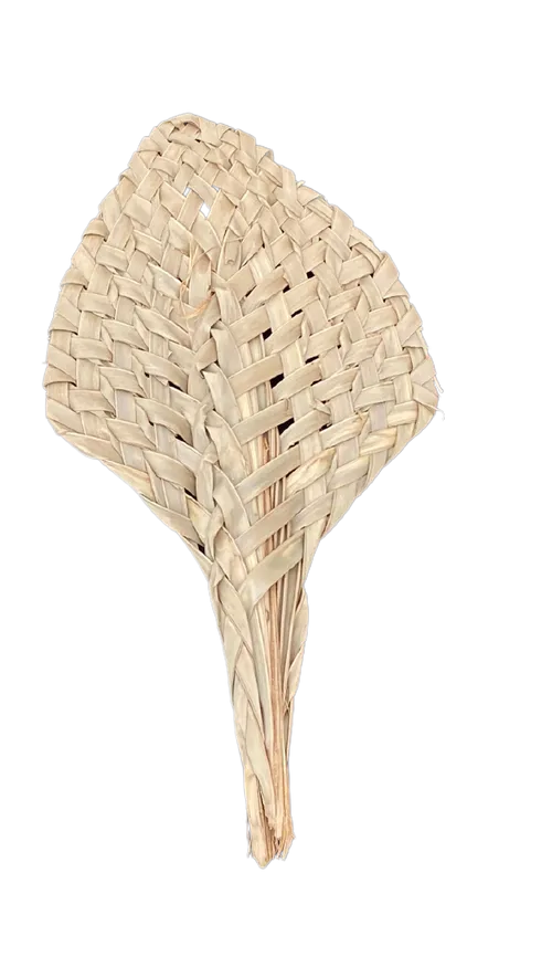 Fijian Fan (Plain)