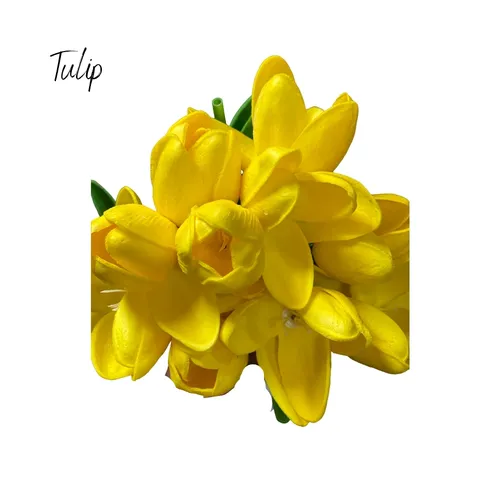 Tulips (Yellow)