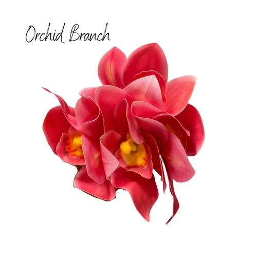 Orchid Branch (pink)