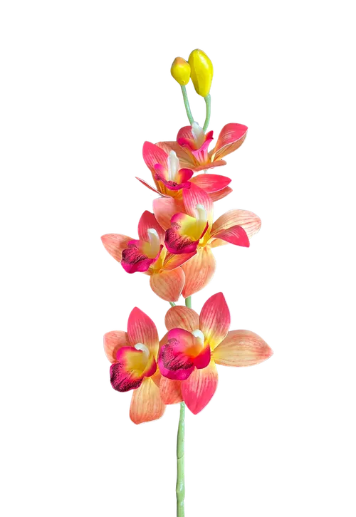 Orchid Branch (Orange & Red)