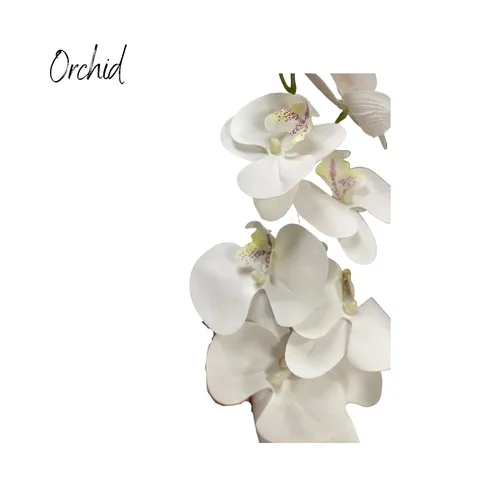 Orchid Branch (White)