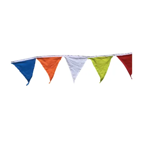 Multicoloured Bunting(10m)