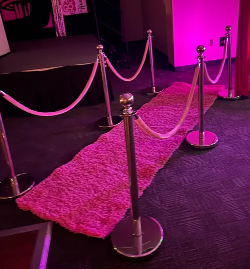 Pink Carpet and Silver Stanchion Set