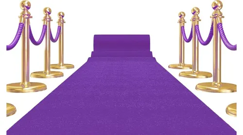 Purple and Gold Carpet and Stanchion Set