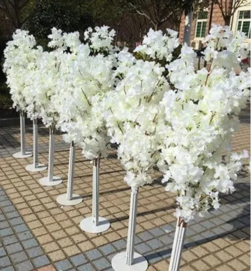 White Cherry Blossom Tree