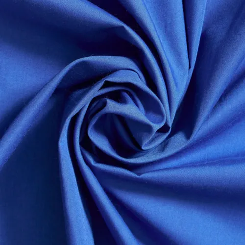Royal Blue Drape 10x5 Polyester (1 Panel)