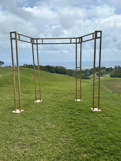 Chic Deluxe Backdrop