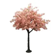 Pink Cherry Blossom Tree