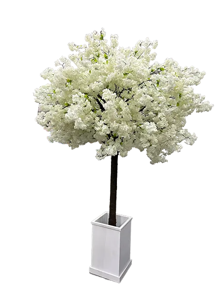 White Cherry Blossom Tree