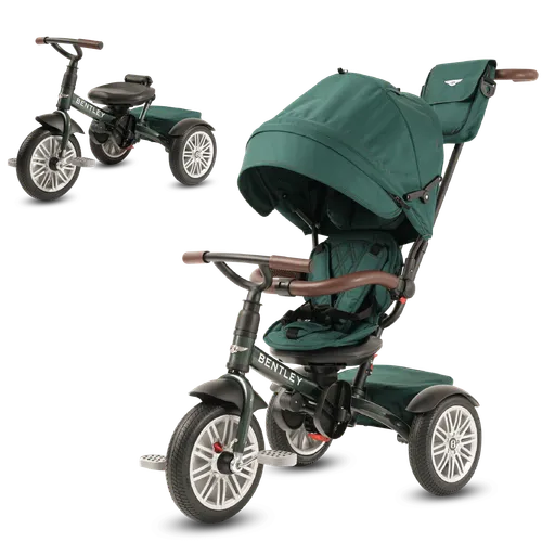 Tricycle Stroller