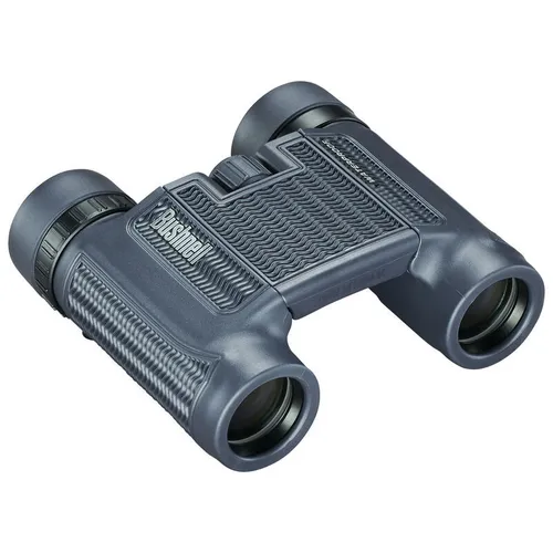 Binoculars (10x25 - Compact)