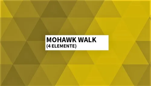 Bundle Mohawk Walk #1 (4 Elemente) 