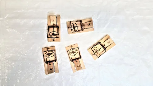 Mausefallen [40er Set]