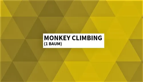 Bundle Monkey Climbing #1 (1 Baum)