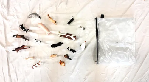 Koop. Übung Tierrätsel