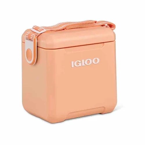 Cooler Small with ice