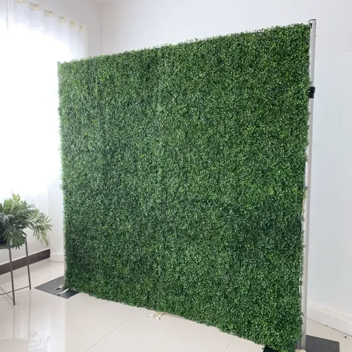 8x8 Boxwood Wall With Stands
