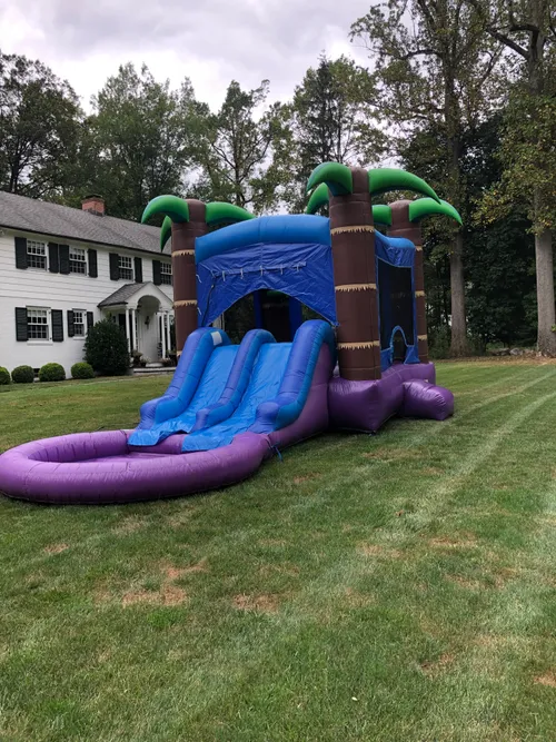 Bounce house combo palm tree 