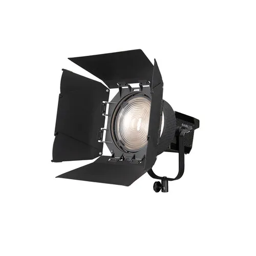 Nanlite Fresnel FL20G
