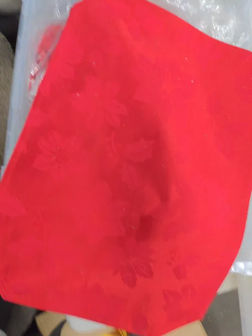 Red Floral Christmas Placemat