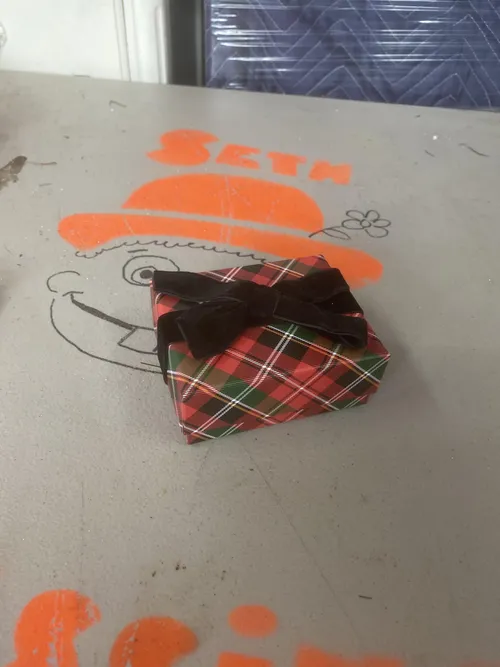Red Plaid Wrapped Present
