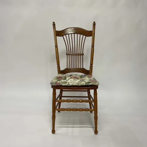 Wood Dining Chair With Fruit Cushion - SEB352