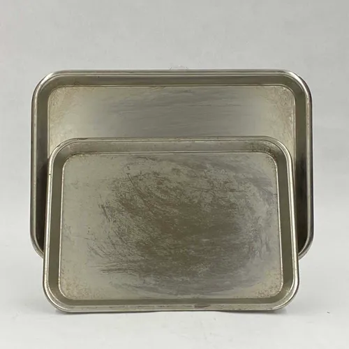 Aged Metal Instrument Tray, Set of 2 - MOMD66