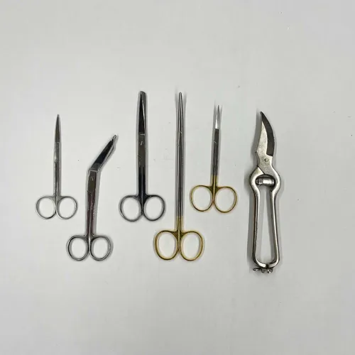 Surgical Scissors - MOMD116