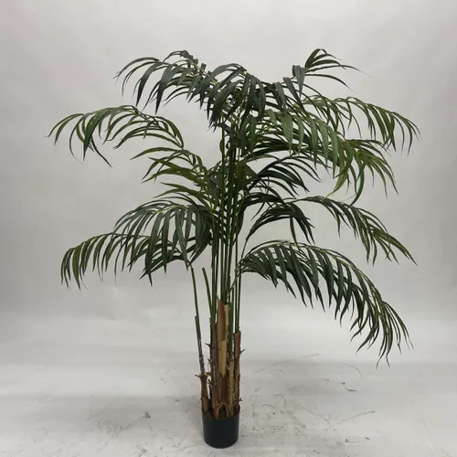 Palm Tree in Black Pot - A1064