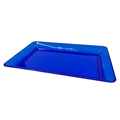 Blue Plastic Tray - TR422