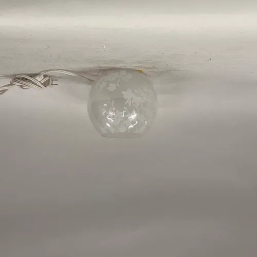 Floral Etched Clear Glass Globe Ceiling Light - LI521