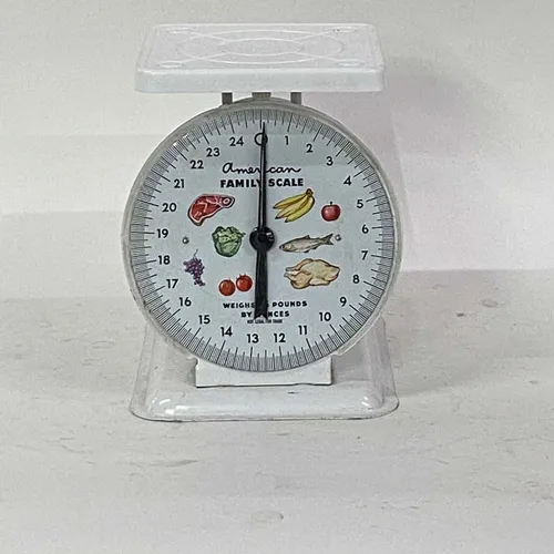 American Family Scale - KT155