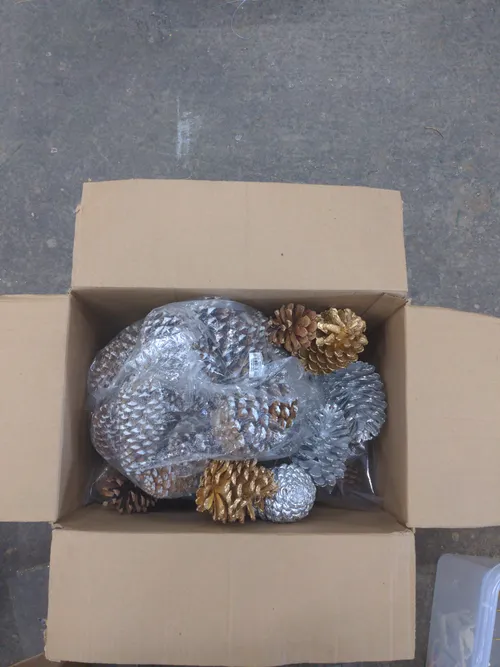 Box of Assorted Pine Cones