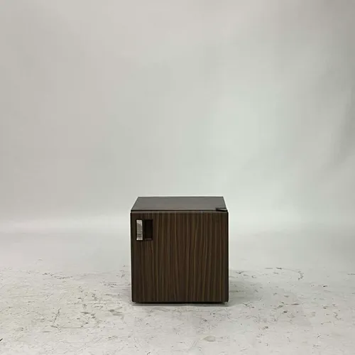 Wood Veneer Mini Refrigerator