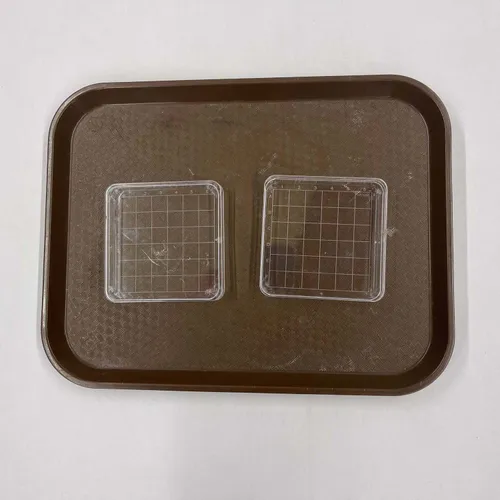 Square Petri Dish - MOMD112